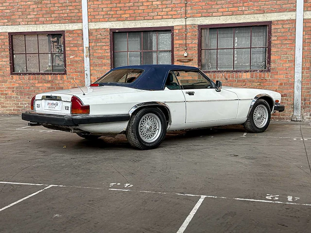 Jaguar xjs convertible 5.3 v12 266pk 1989 - afbeelding 16 van  26