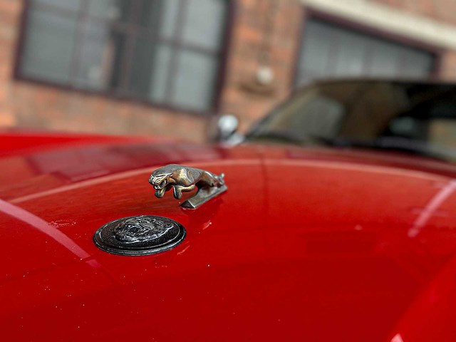 Jaguar xjs convertible 5.3 v12 266pk 1992 - afbeelding 6 van  32