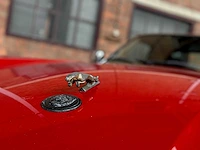 Jaguar xjs convertible 5.3 v12 266pk 1992 - afbeelding 6 van  32