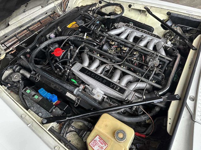 Jaguar xjs convertible 5.3 v12 267pk 1992 - afbeelding 30 van  37