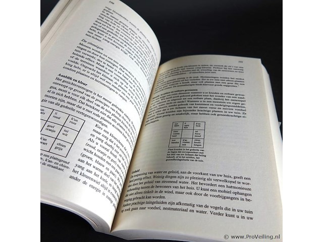 Jami lin. het grote feng shui boek - afbeelding 5 van  5