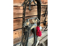 Jan van den boomen haam - afbeelding 2 van  6