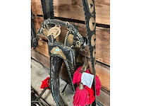 Jan van den boomen haam - afbeelding 4 van  6