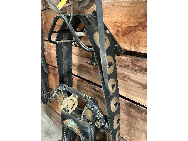 Jan van den boomen haam - afbeelding 5 van  6