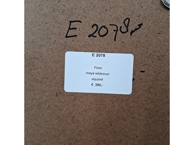 Japanse aquarel, maya wildevuur, poes, 2005 - afbeelding 3 van  12