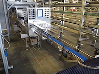 Jasa packaging - afbeelding 15 van  37