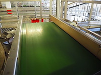 Jasa packaging - afbeelding 35 van  37