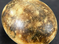 Jaspis?. gepolijst tot ei - afbeelding 2 van  3