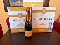 Jaume serra partij gedestilleerd (cava) (28x) - afbeelding 1 van  2