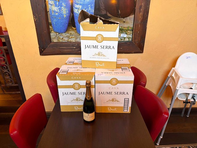 Jaume serra partij gedestilleerd (cava) (28x) - afbeelding 2 van  2
