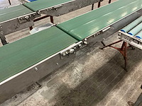 Javo potplant transportband en rollenbaan (5x) - afbeelding 4 van  8