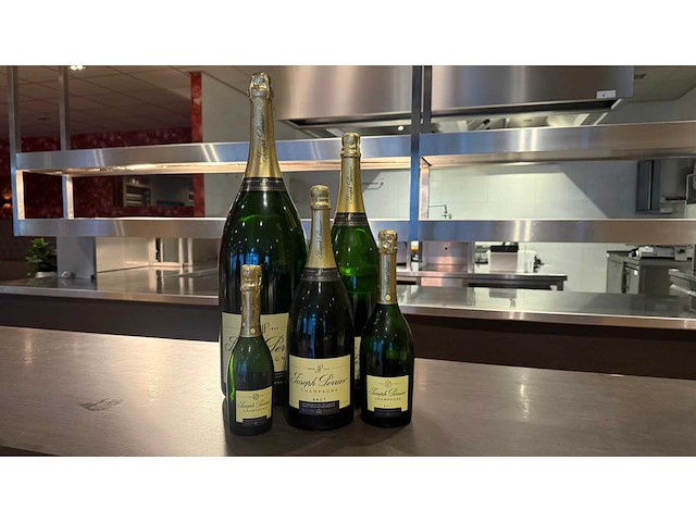 Joseph perrier dummy champagnefles (5x) - afbeelding 1 van  6