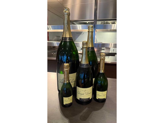 Joseph perrier dummy champagnefles (5x) - afbeelding 5 van  6