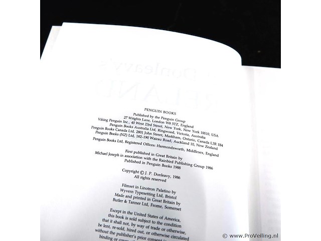 J.p. donleavy's ireland - afbeelding 2 van  5
