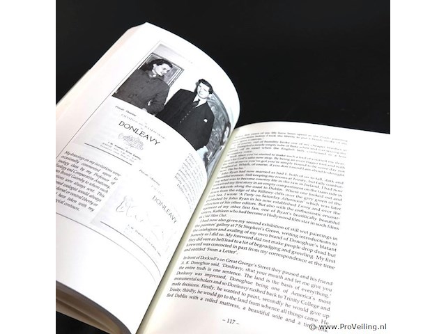 J.p. donleavy's ireland - afbeelding 3 van  5