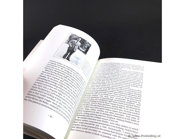 J.p. donleavy's ireland - afbeelding 4 van  5