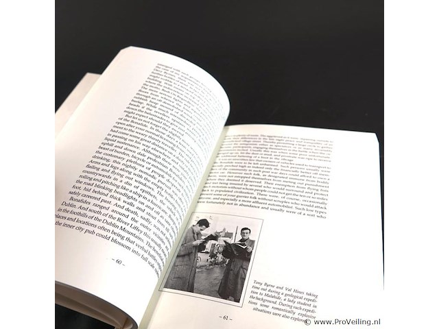 J.p. donleavy's ireland - afbeelding 5 van  5