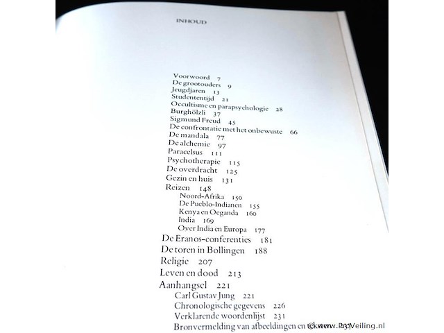 Jung. beelden uit mijn leven - afbeelding 3 van  5