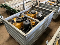 Jung pompunit (2x) - afbeelding 1 van  6