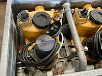 Jung pompunit (2x) - afbeelding 2 van  6