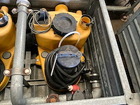 Jung pompunit (2x) - afbeelding 3 van  6