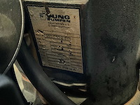 Jung pompunit (2x) - afbeelding 4 van  6