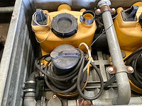 Jung pompunit (2x) - afbeelding 1 van  1