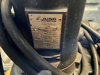 Jung pompunit (2x) - afbeelding 4 van  6
