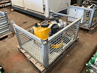 Jung pompunit - afbeelding 1 van  4