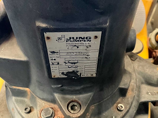 Jung pompunit - afbeelding 4 van  4