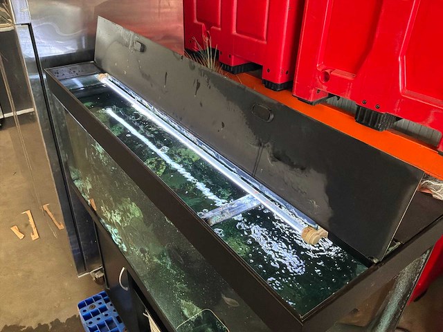 Juwel aquarium met onderkast - afbeelding 6 van  17