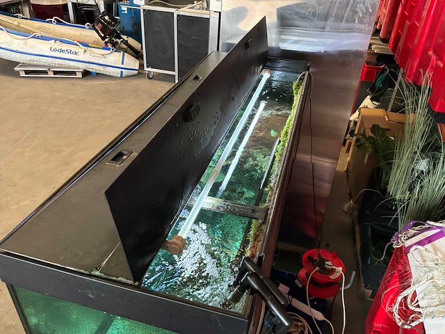 Juwel aquarium met onderkast - afbeelding 8 van  17