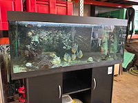 Juwel aquarium met onderkast - afbeelding 10 van  17