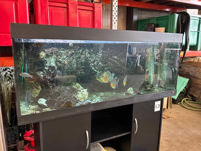 Juwel aquarium met onderkast - afbeelding 11 van  17