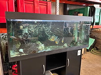 Juwel aquarium met onderkast - afbeelding 11 van  17