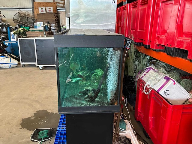 Juwel aquarium met onderkast - afbeelding 12 van  17