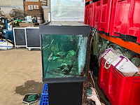 Juwel aquarium met onderkast - afbeelding 12 van  17