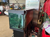 Juwel aquarium met onderkast - afbeelding 13 van  17