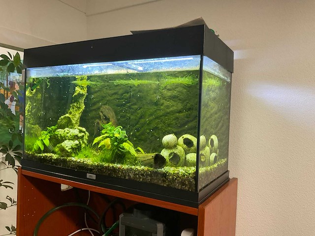 Juwel aquarium met toebehoren + kast - afbeelding 1 van  4