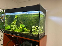 Juwel aquarium met toebehoren + kast - afbeelding 1 van  4