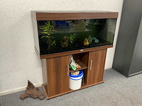 Juwel aquarium met toebehoren - afbeelding 1 van  9