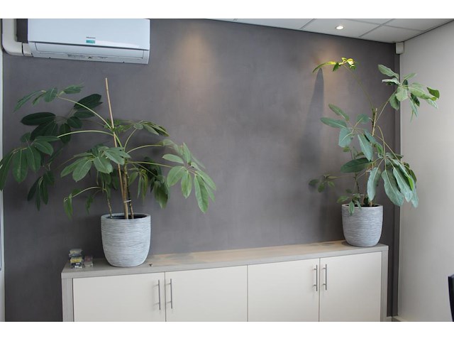 Kaart van nederalnd met diverse pins. afmeting 130,5 x 101 cm - afbeelding 1 van  3