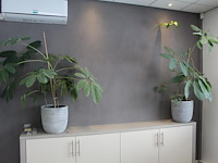 Kaart van nederalnd met diverse pins. afmeting 130,5 x 101 cm - afbeelding 1 van  3