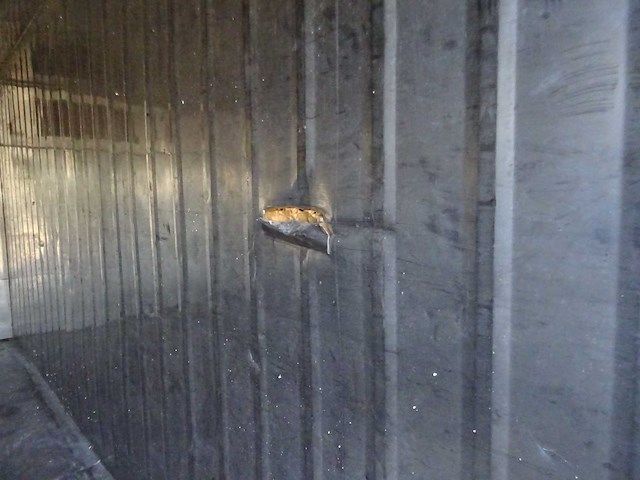 Kabel gesloten afzetcontainer - afbeelding 5 van  5