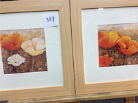 Kaders 3stuks - afbeelding 2 van  3