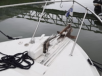 Kajuit motorboot, sea ray, 390 express, 1987 - afbeelding 33 van  142