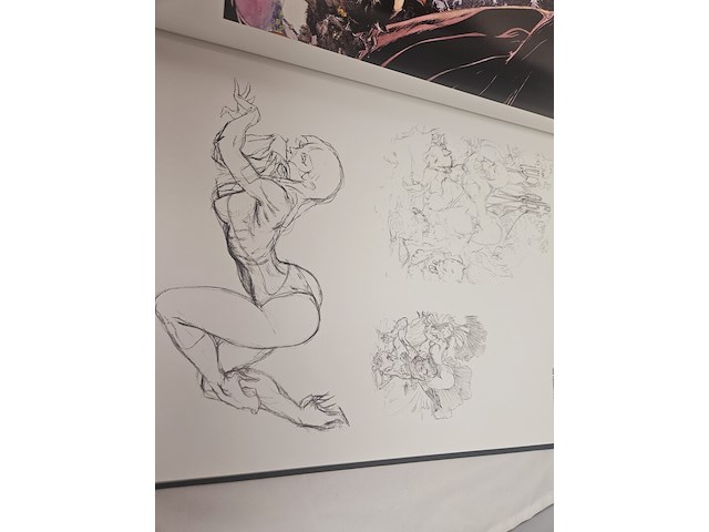 Kaluta book - kunst compendium - special edition - afbeelding 12 van  12