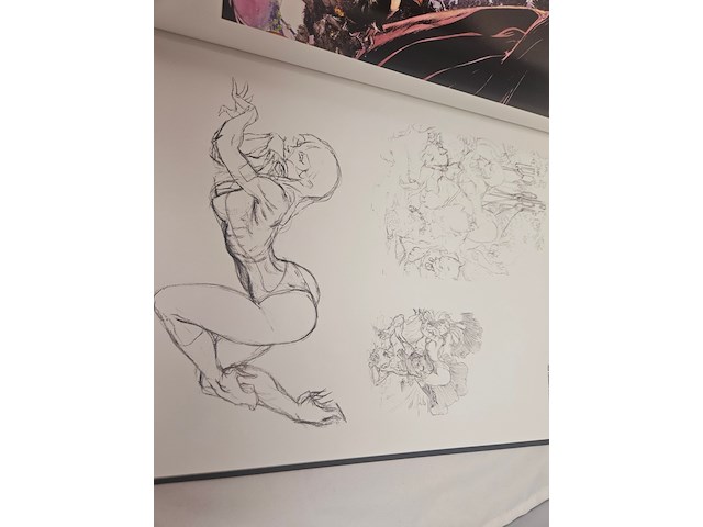 Kaluta book - kunst compendium - special edition - afbeelding 2 van  12