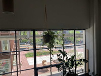 Kamerplant in hangpot - afbeelding 1 van  2