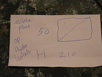 Kamerplant incl. hydro korrels en plantenbak - ø 50x210cm (h) - afbeelding 4 van  4